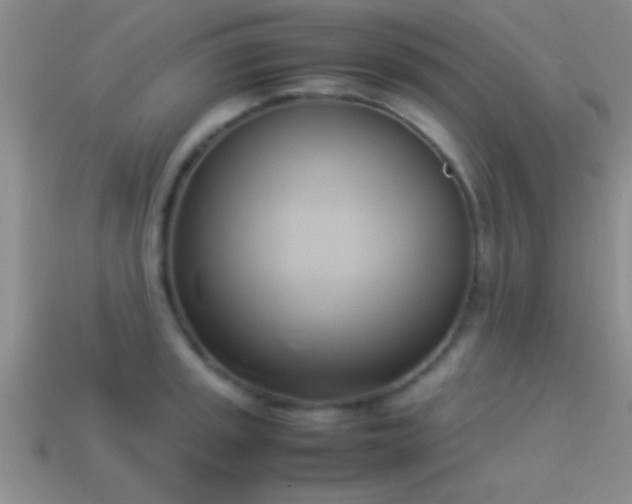 X0000114151045200910151540