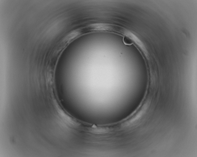 X0000114151049200910151540