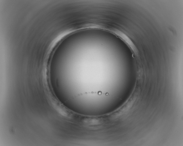 X0000114151051200910151540