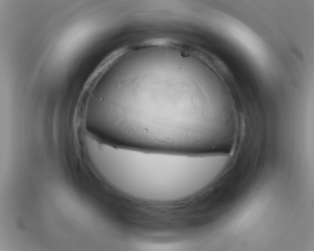 X0000114151052200910151540