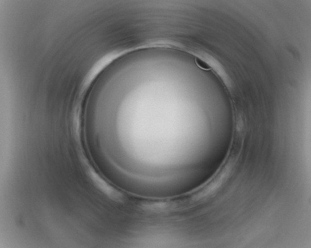 X0000114151054200910151540