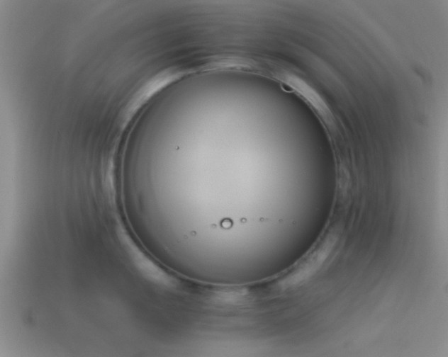 X0000114151055200910151540