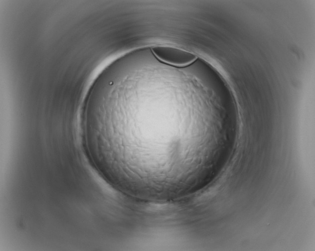 X0000114151056200910151540