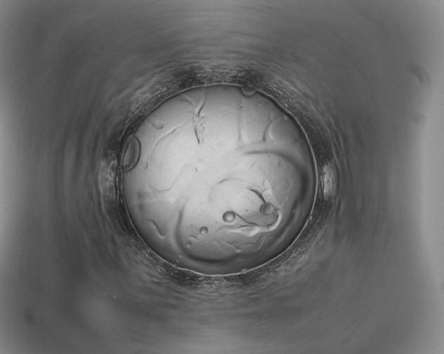 X0000114151059200910151539