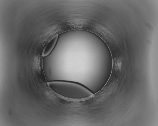 X0000114151060200910151539