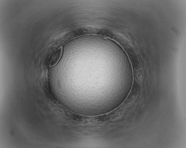X0000114151061200910151539