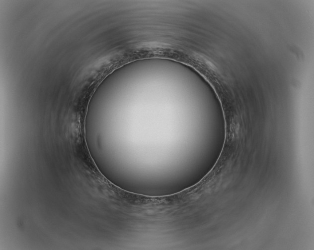 X0000114151062200910151539