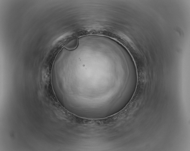X0000114151063200910151539