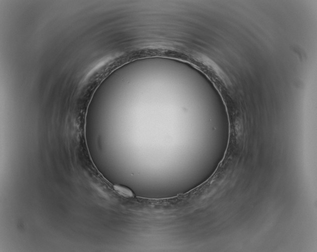 X0000114151064200910151539