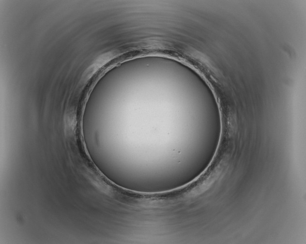 X0000114151065200910151539
