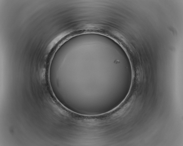 X0000114151066200910151539