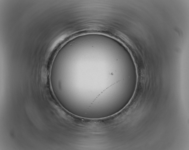 X0000114151067200910151539