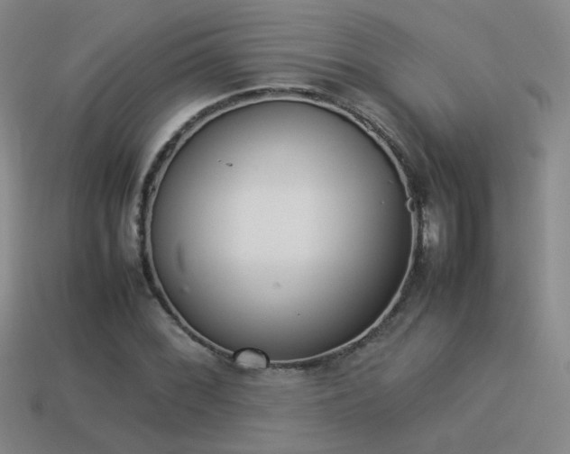 X0000114151068200910151539
