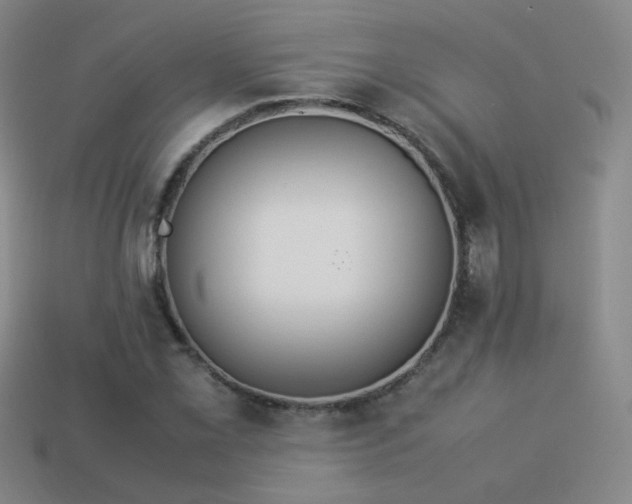 X0000114151069200910151539