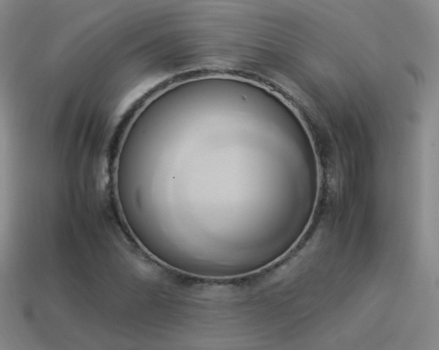 X0000114151070200910151539