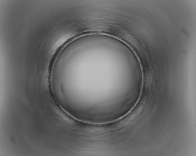 X0000114151071200910151539