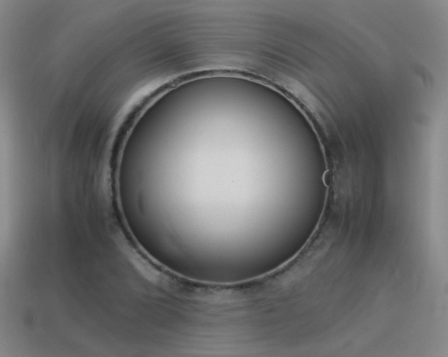 X0000114151072200910151539