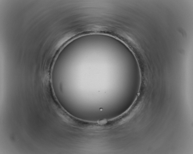 X0000114151073200910151539