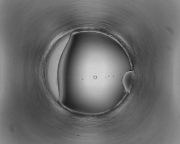 X0000114151075200910151539