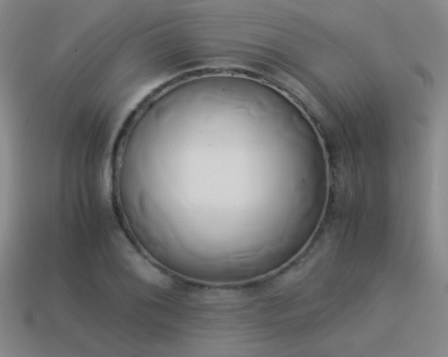 X0000114151076200910151539