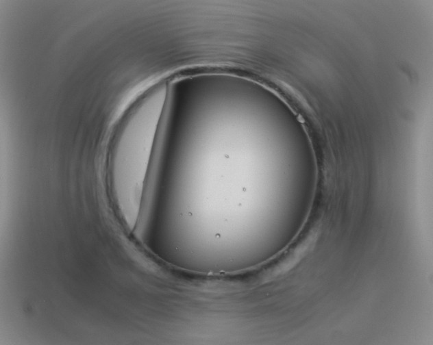 X0000114151077200910151539