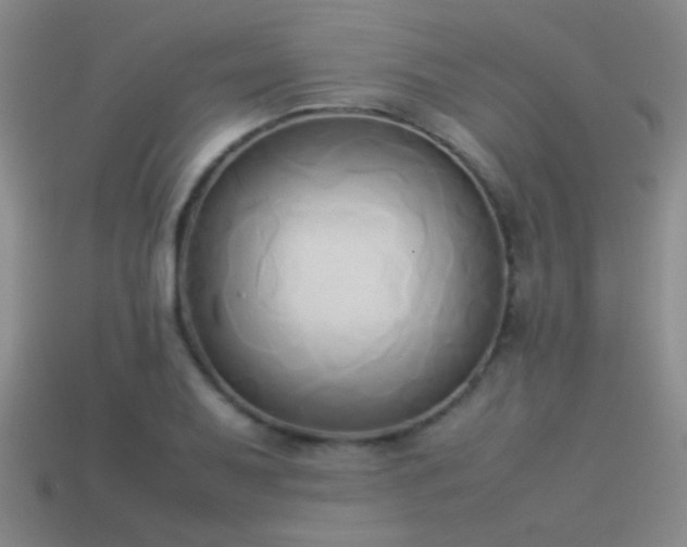 X0000114151079200910151539
