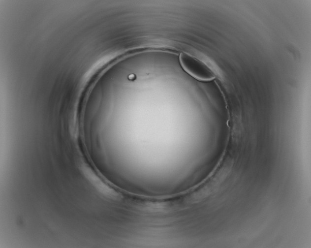 X0000114151080200910151539