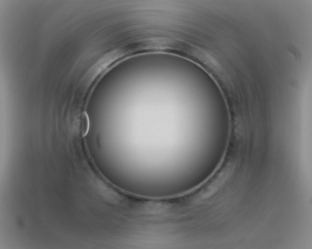 X0000114151081200910151539