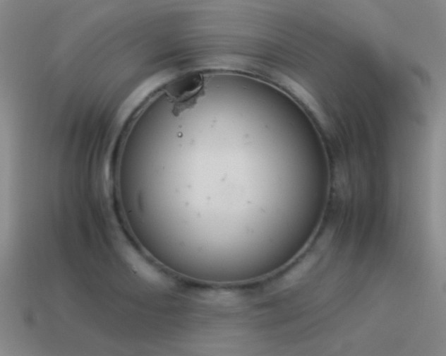 X0000114151082200910151539