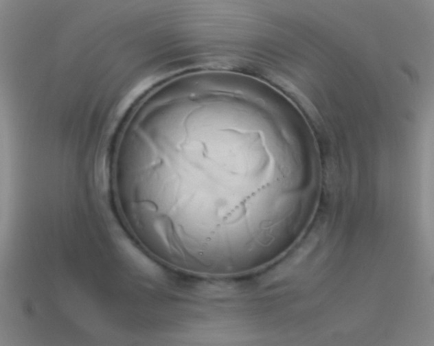 X0000114151083200910151539