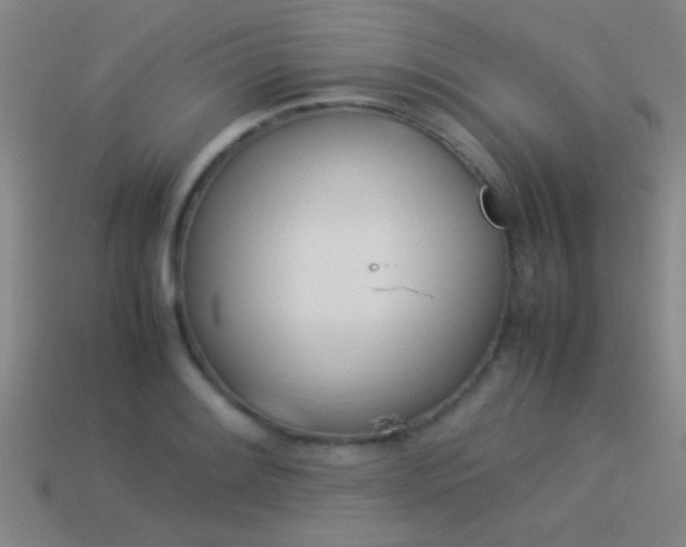 X0000114151084200910151539