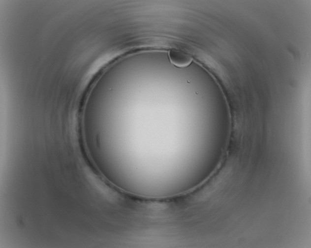 X0000114151085200910151539