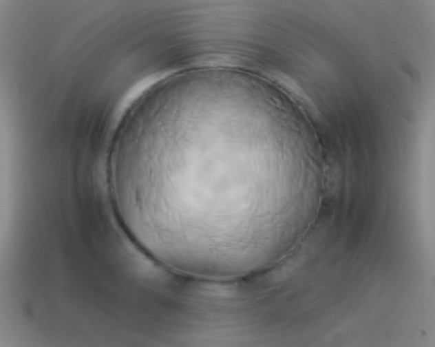 X0000114151086200910151539