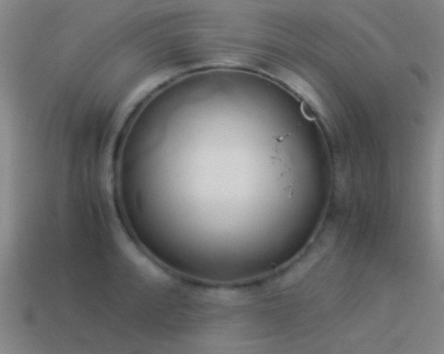 X0000114151088200910151539