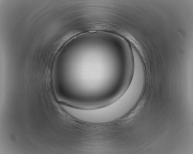X0000114151089200910151539
