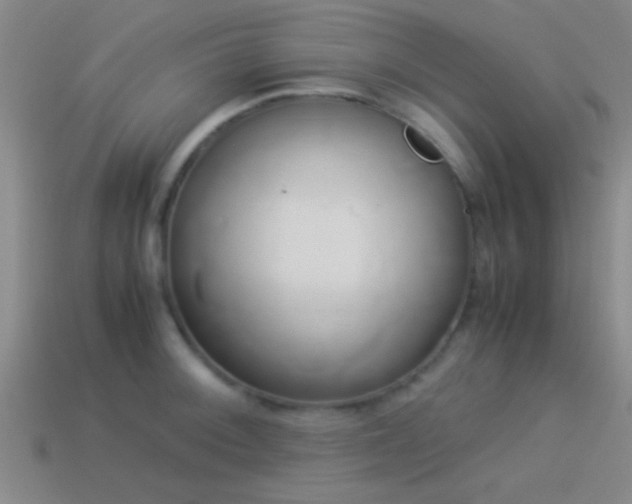 X0000114151092200910151539