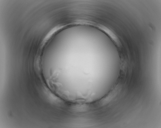 X0000114151094200910151539