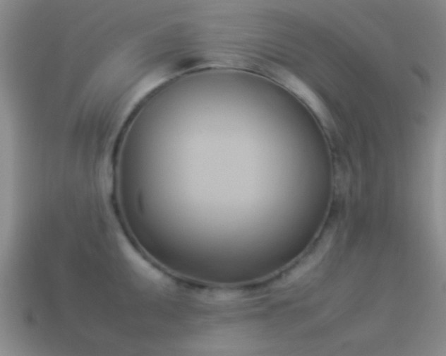 X0000114151095200910151539