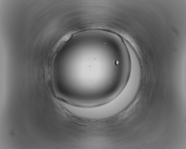 X0000114151097200910151539