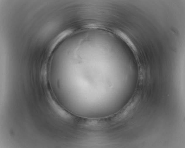 X0000114151098200910151539