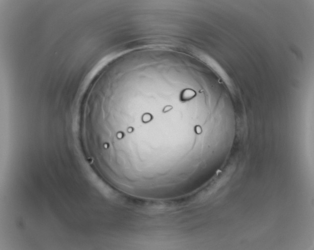 X0000114151099200910151539