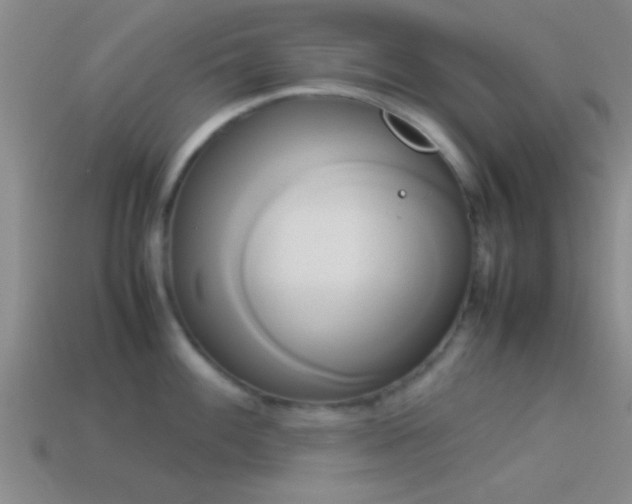 X0000114151100200910151539