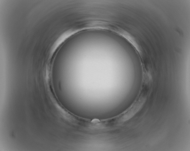 X0000114151101200910151539