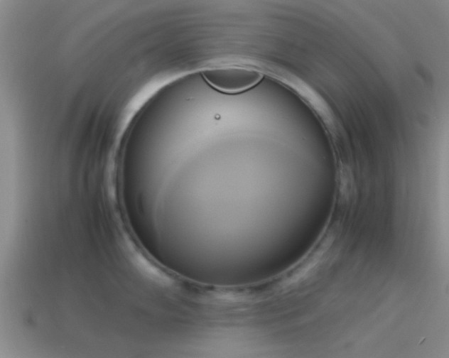 X0000114151102200910151539