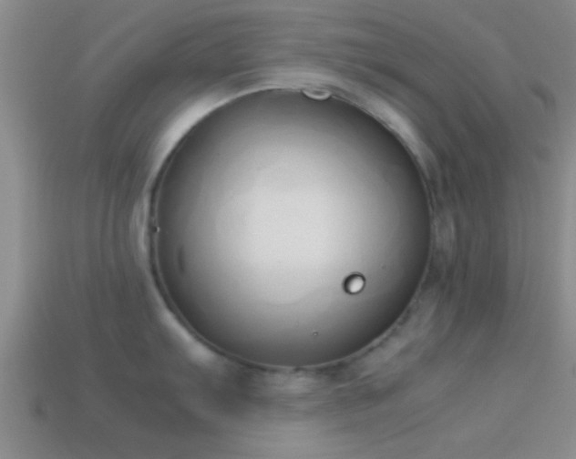 X0000114151103200910151539