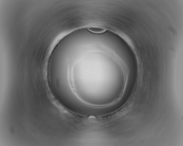 X0000114151104200910151539