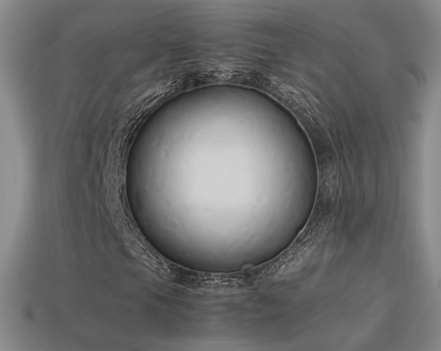 X0000114151105200910151538