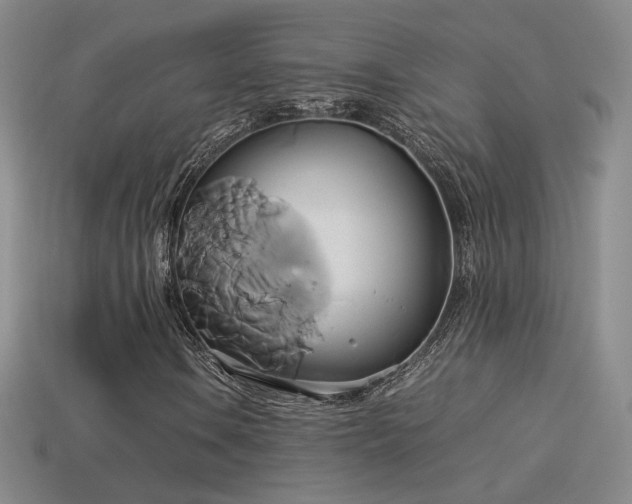 X0000114151106200910151538