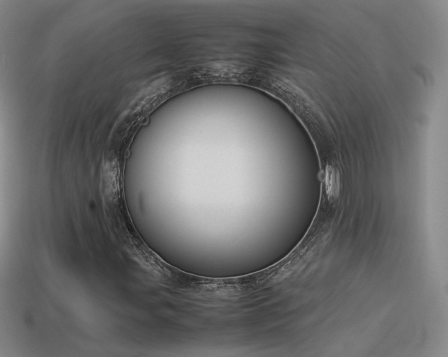 X0000114151107200910151538