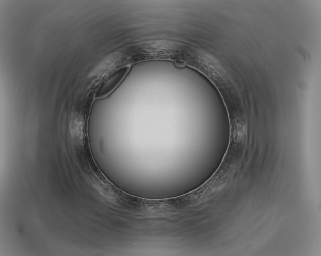 X0000114151108200910151538